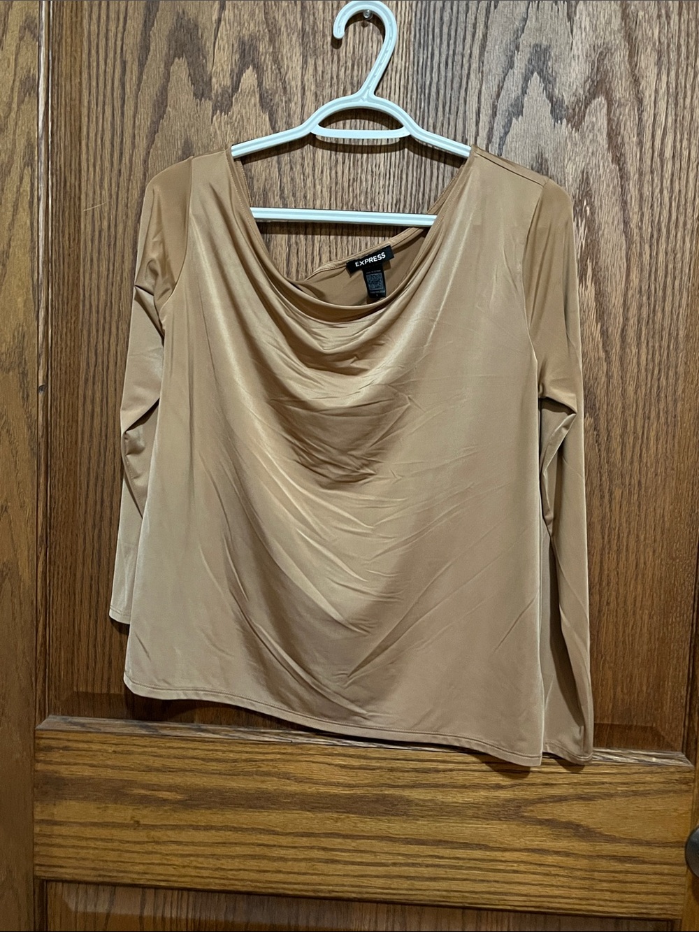 Express Camel Cowl Neck Long Sleeve Top